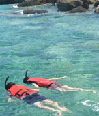 Kayak