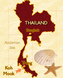 Kow Mook Island inthe Trang province