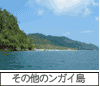 ̑̃KC