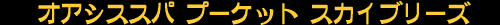 �I�A�V�X�X�p�A�o���R�N�\�C51